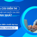 Mobifone cung cấp đáp án của kỳ thi THPT Quốc Gia năm 2022